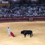 Descubre la mejor fiesta en la Plaza de la Merced en Huelva: ¡Un evento imperdible!