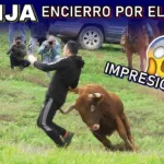 Descubre el encanto del turismo en Huelva en Hotel Monte Conquero