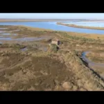 Descubre las maravillas de las Marismas del Odiel en un viaje de turismo en Huelva